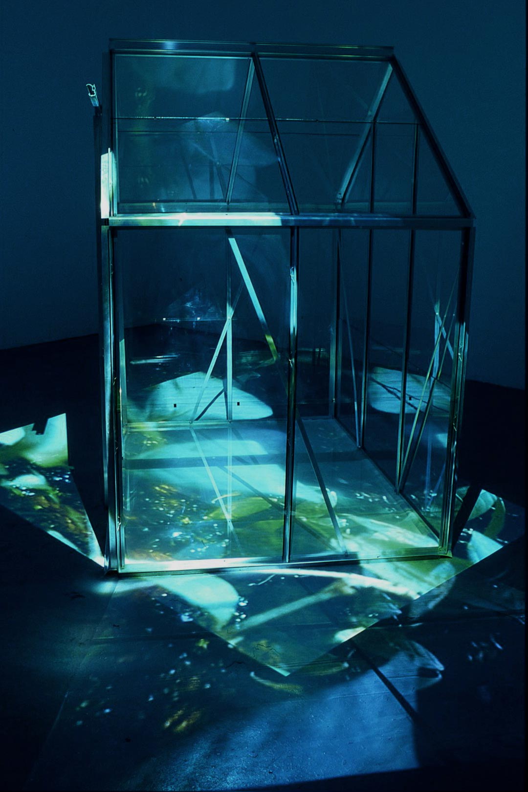 A greenhouse and projections, an installation.