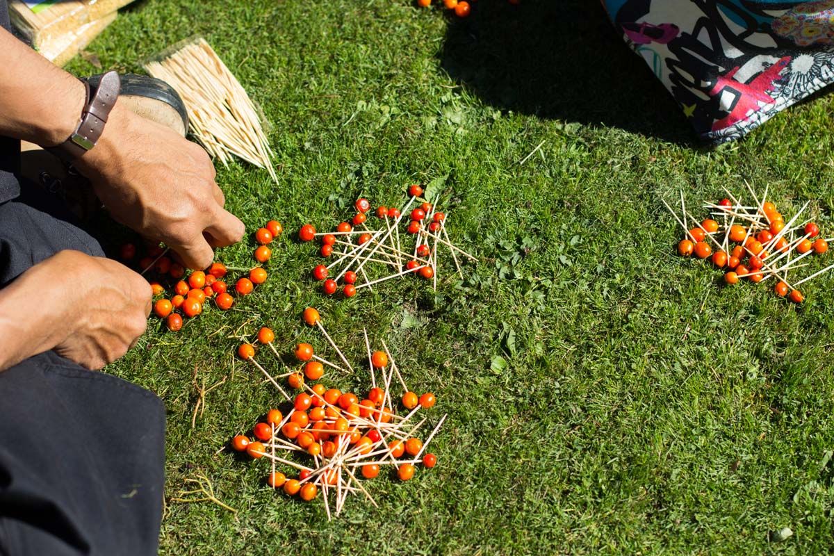 A pair of hands putting rowan berries on toothpicks.