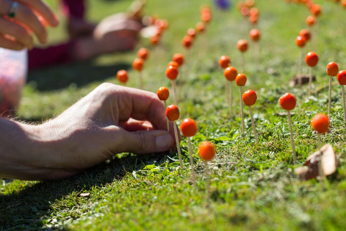 A hand pressing a rowan berry on top of toothpick into grassland.