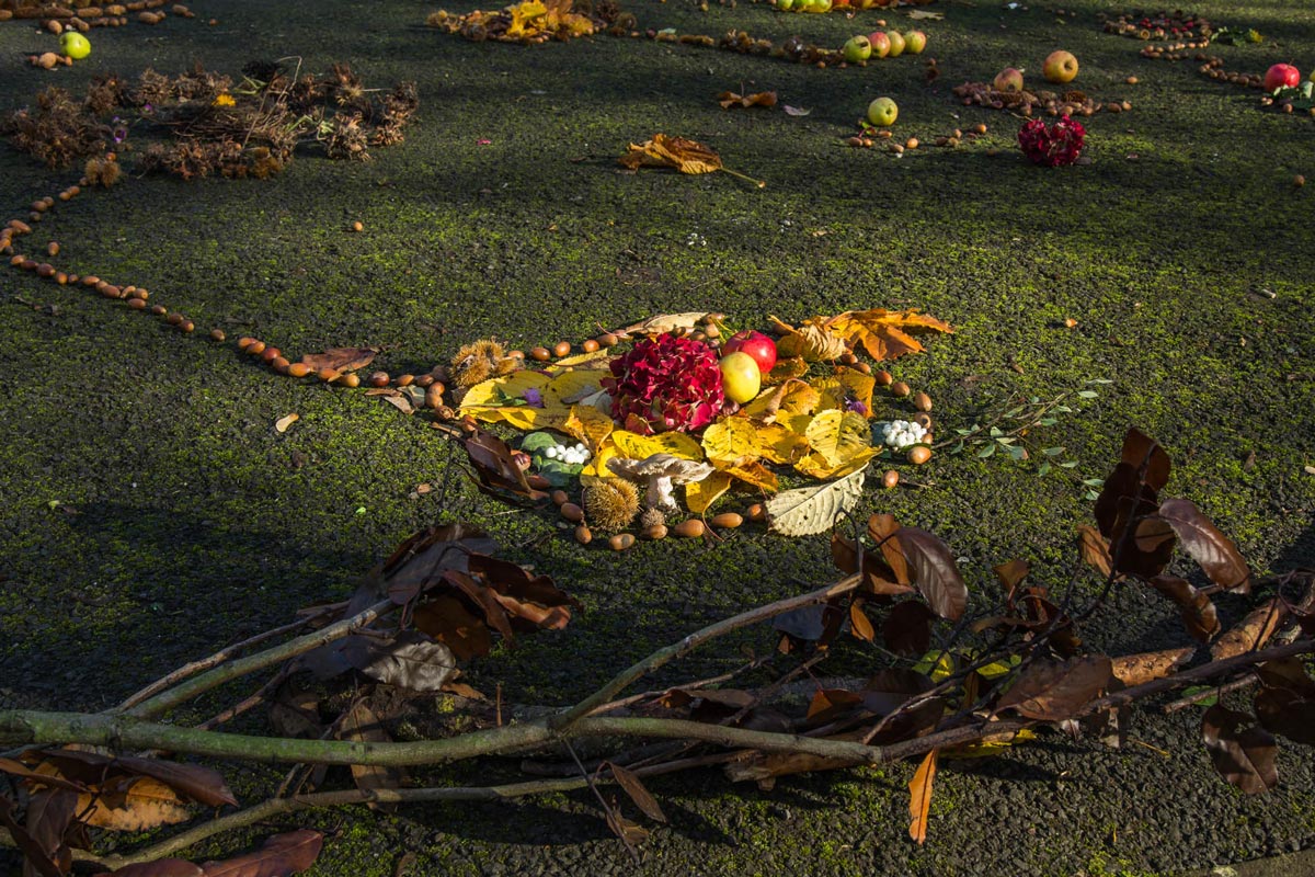 A part of the foraged installation in sun light.