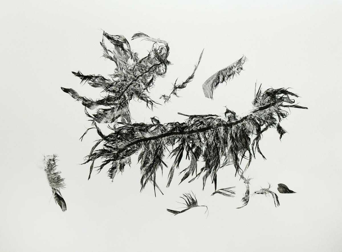 A monoprint of two broken wings.