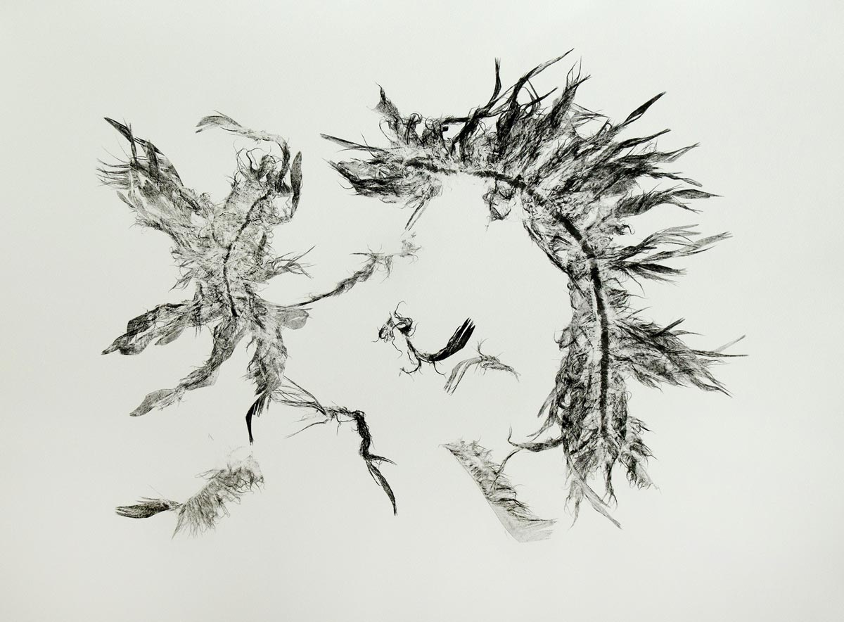 A monoprint of two broken wings.