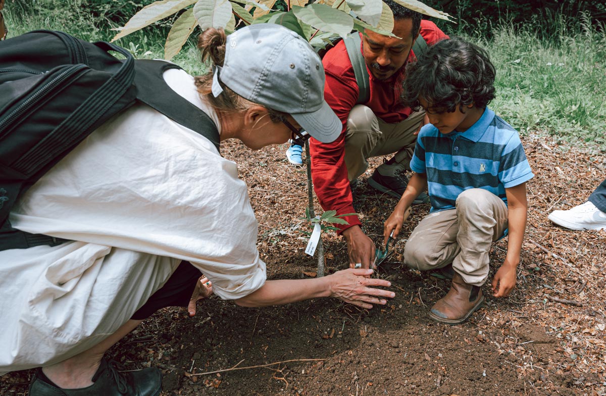 A woman, man and a boy planting a tree.