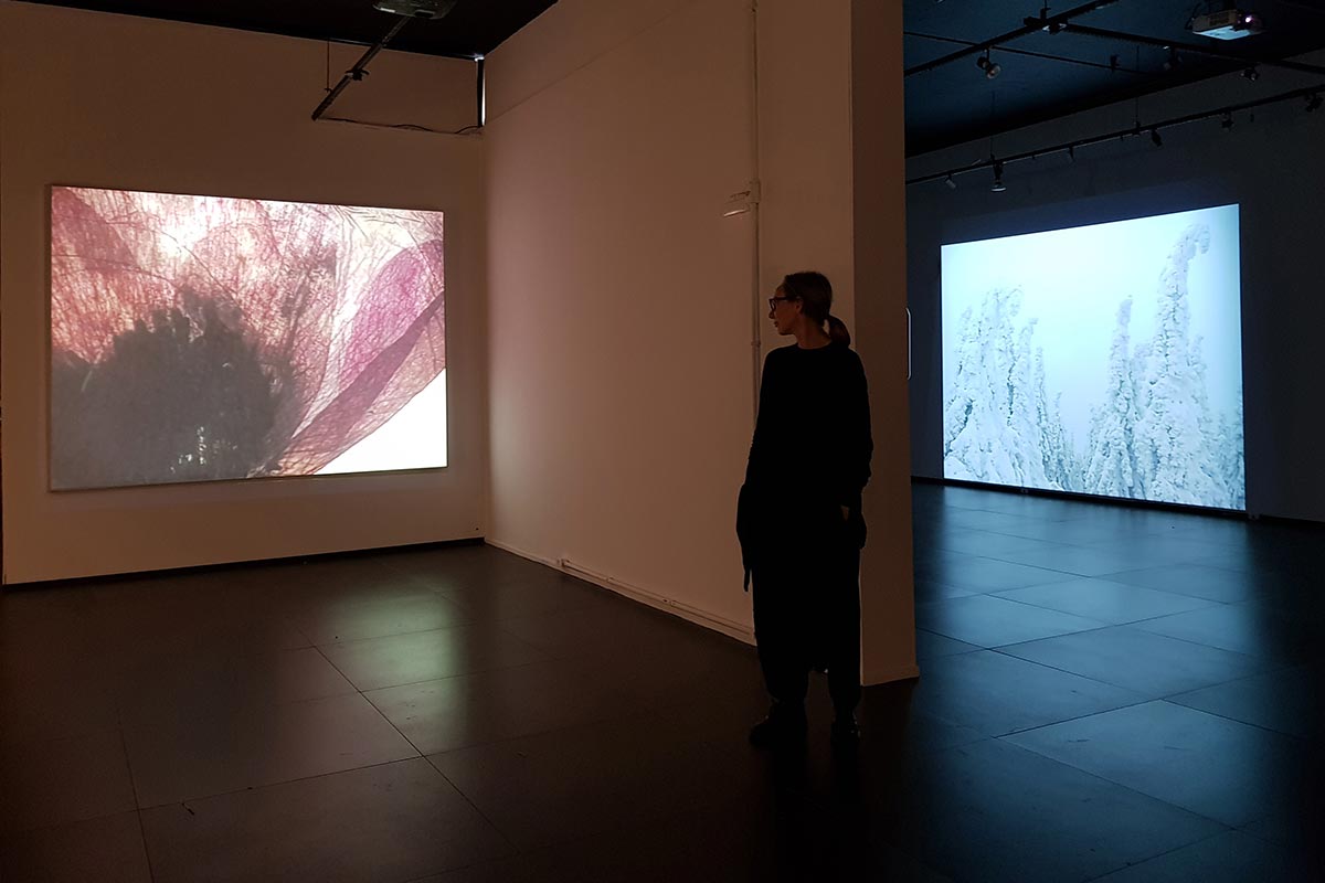 Two projections, one showing details of an insect's wing, the other one in the background is showing pine forest covered in snow. Henna is in middle of the image.