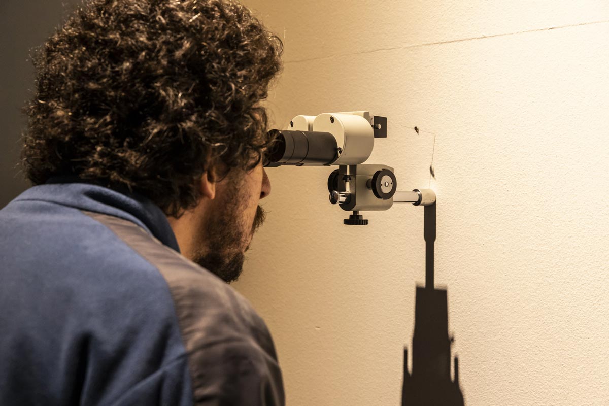 A man looking into the microscope.