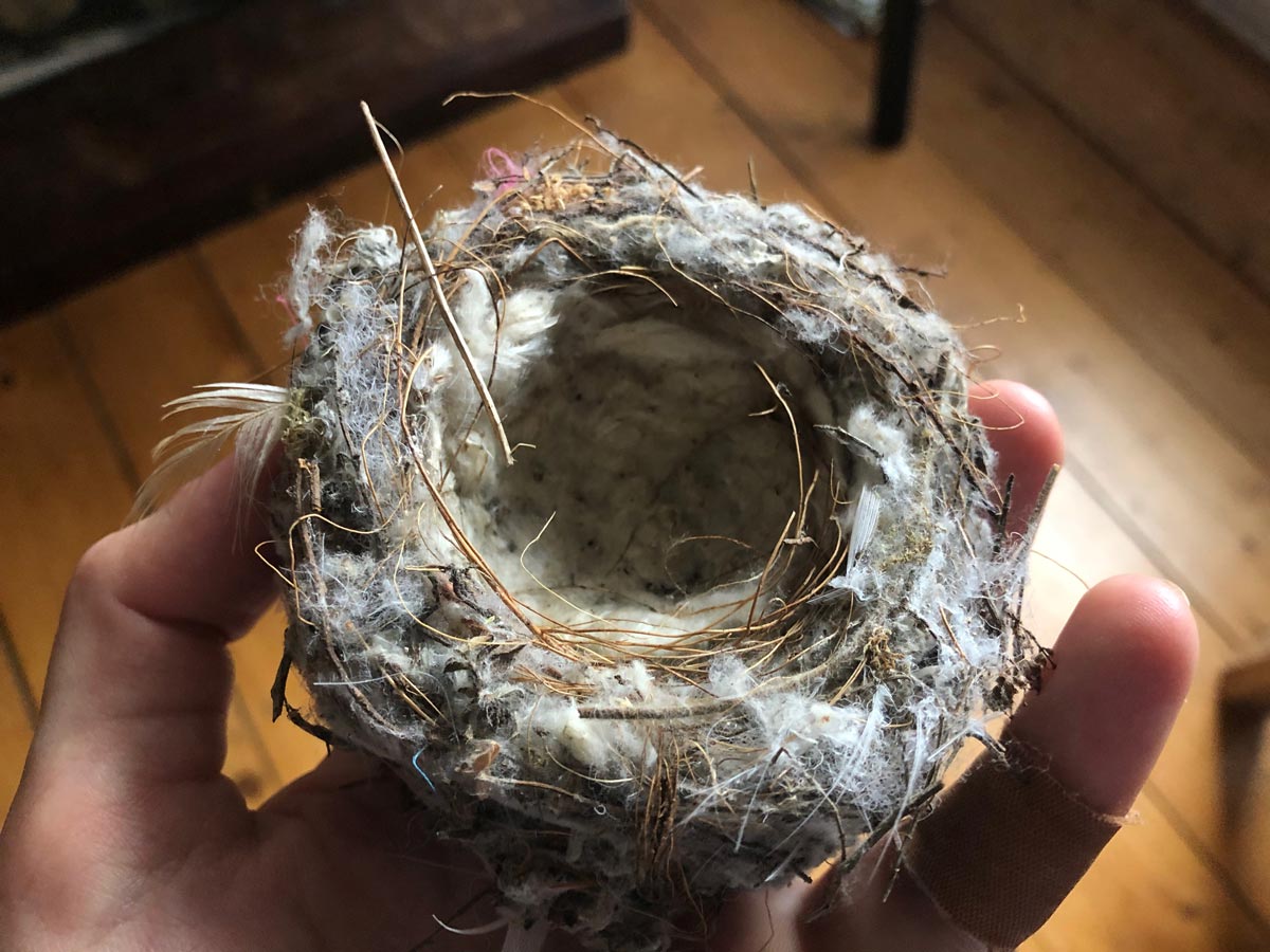 A hand holding a small bird's nest.
